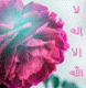 الصورة الرمزية سِميآءُ العُطر