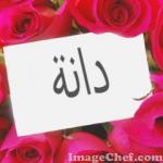 الصورة الرمزية دانة