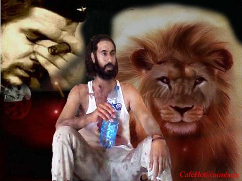 <div align=center>
</div>