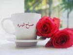 الصورة الرمزية أبو رآكان الكلباني