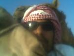 الصورة الرمزية ناصر بن سالم الهاشمي