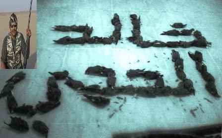 ���� ��������